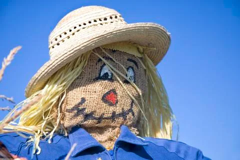 Scarecrow Stock Photos