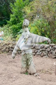 Scarecrow Stock Photos