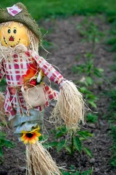Scarecrow Stock Photos
