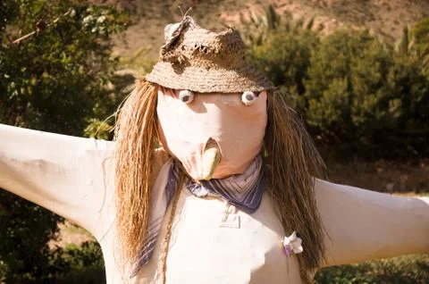 Scarecrow Stock Photos