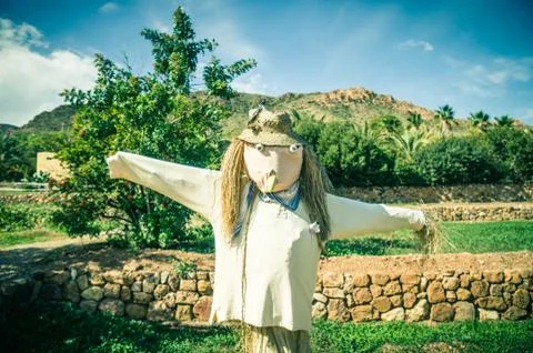 Scarecrow Stock Photos
