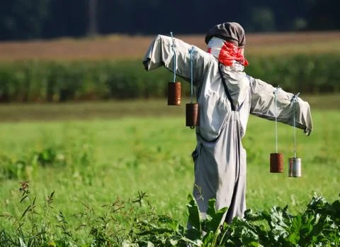 Scarecrow Stock Photos