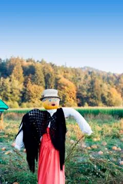 Scarecrow Stock Photos