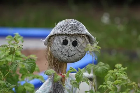 Scarecrow Stock Photos