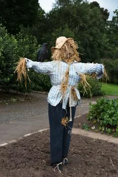Scarecrow Stock Photos