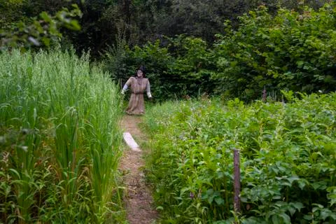 Scarecrow Stock Photos