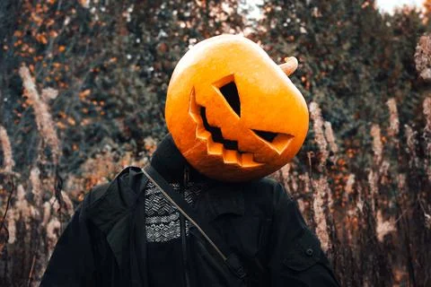 Scarecrow Stock Photos