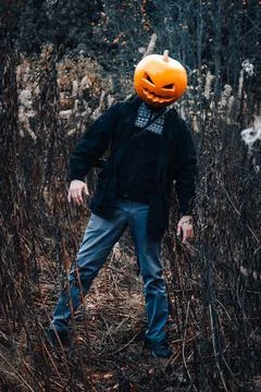 Scarecrow Stock Photos