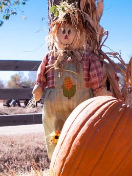 Scarecrow Stock Photos