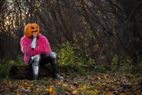 Scarecrow Stock Photos