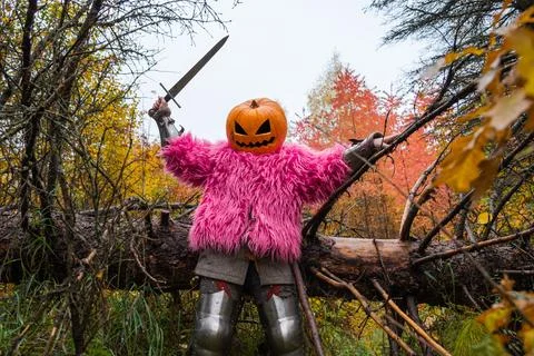Scarecrow Stock Photos