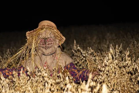 Scarecrow Stock Photos