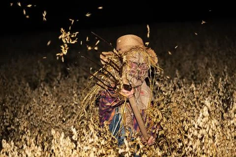 Scarecrow Stock Photos