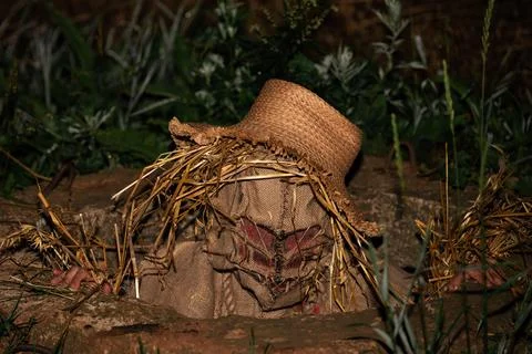 Scarecrow Stock Photos