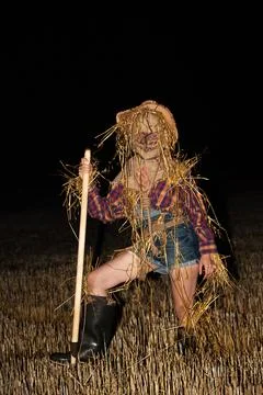 Scarecrow Stock Photos