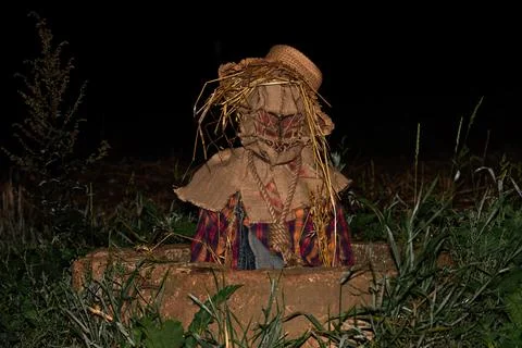 Scarecrow Stock Photos