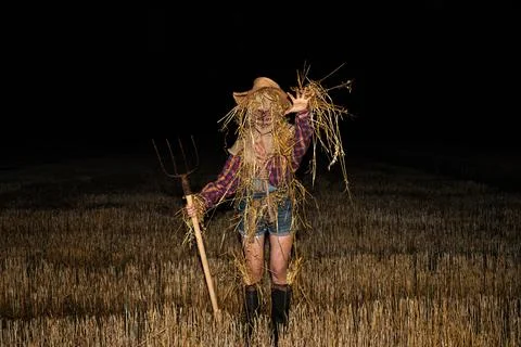 Scarecrow Stock Photos