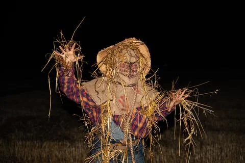 Scarecrow Stock Photos