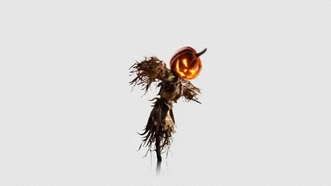 Scarecrow with a pumpkin head Stock Footage 205825753