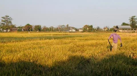 Scarecrow on the right side Stock Photos