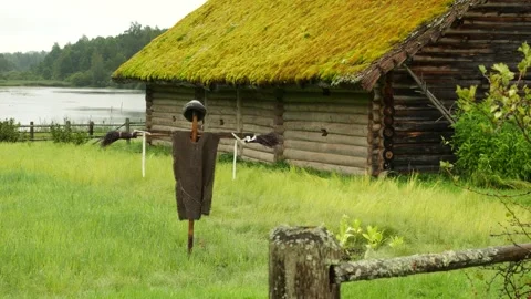 Scarecrow stands next to the log barn with reed roof covered with moss Stock Footage 318553757