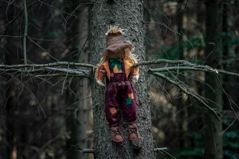 Scarecrow in a tree in a shadowed forest Stock Photos