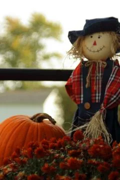 Scarecrow Vertical Stock Photos