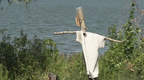 Scarecrow on waterfront Vídeo Stock 40759502