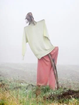 Scarecrow at winter time Stock-Fotos