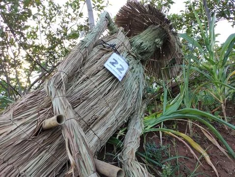 Scarecrows are made of straw wrapped in human clothing Stock Photos