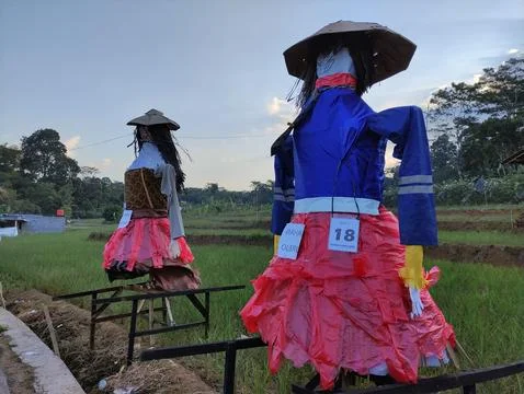 Scarecrows are made of straw wrapped in human clothing 写真素材