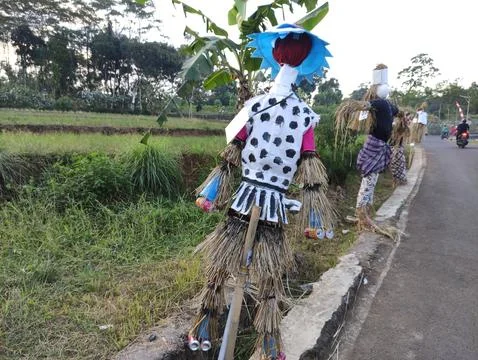Scarecrows are made of straw wrapped in human clothing Stockfoto's