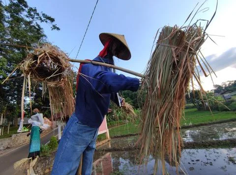 Scarecrows are made of straw wrapped in human clothing Foto stock