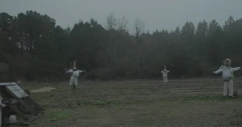 Scarecrows in a foggy field Stock Footage 76414367
