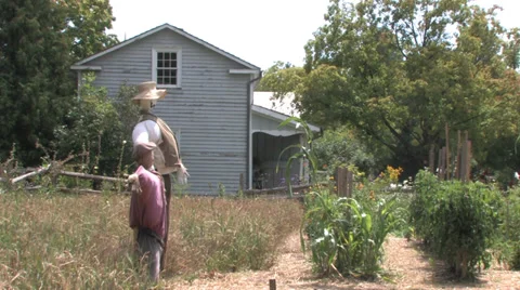 Scarecrows Stock Footage 31867395