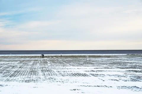 Scarecrows in winter field Stock Photos