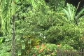Scared Birds Fly Away 2 - Pest Footage
