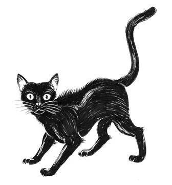 Scared black cat Stock Illustration