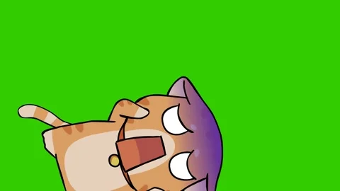 Scared Cat Animation on Green Screen Stock Video Pond5