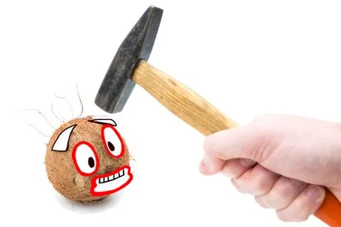 Scared coconut on white background. Stock Photos