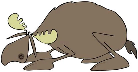 Scared crouching bull moose Stock Illustration