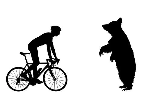 Scared cyclist in front of prance bear on road vector silhouette Stock Illustration