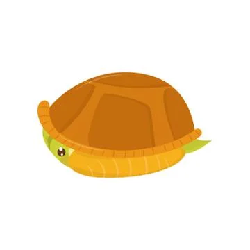 Scared green turtle hiding in its shell. Cartoon character of reptile. Marine Stock Illustration