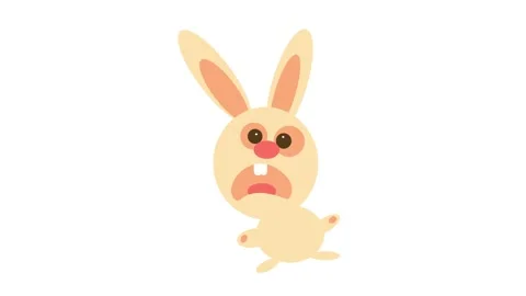 Scared rabbit with rounded head and weird body position like if it was twisted Stock Footage 130347816