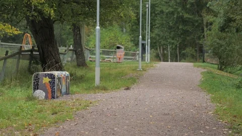 Scared Rat Sitting Still and Runs Away in a City Park, Wide shot 動画素材 228730267