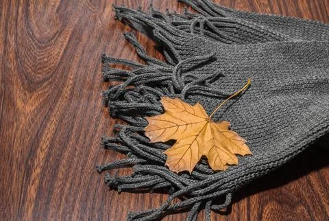 Scarf and leaf Stock Photos