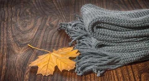 Scarf and leaf Stock Photos