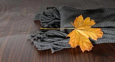 Scarf and leaf Stock Photos