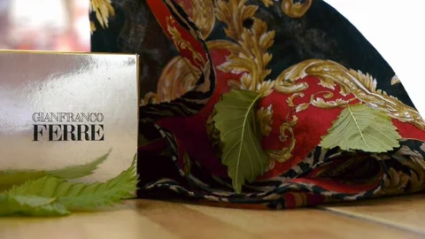 Scarf Gianfranco Ferre. Vidéo 116056022