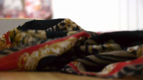 Scarf Gianfranco Ferre. Vidéo 116056069